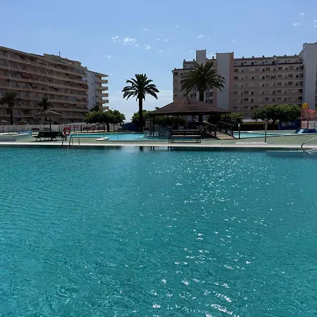 Penismar 77 